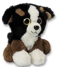 Plush Bernese Mountain Dog puppy 